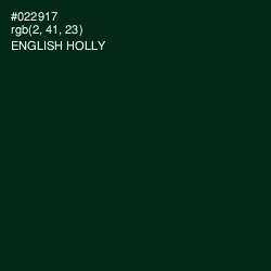 #022917 - English Holly Color Image